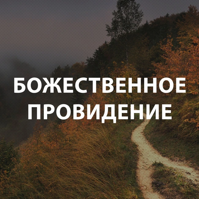 Вдовенко Анатолий - Божественное провидение