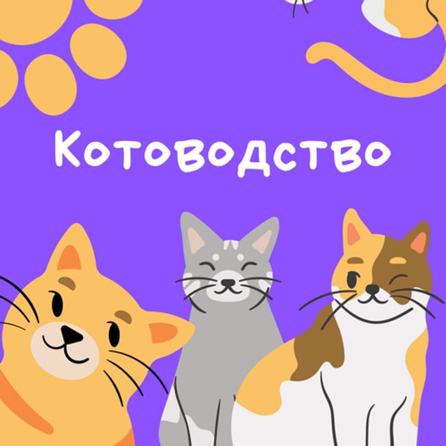 Как понять сигналы кошки и отучить от нежелательного поведения: с зоопсихологом Настей Крамаренко