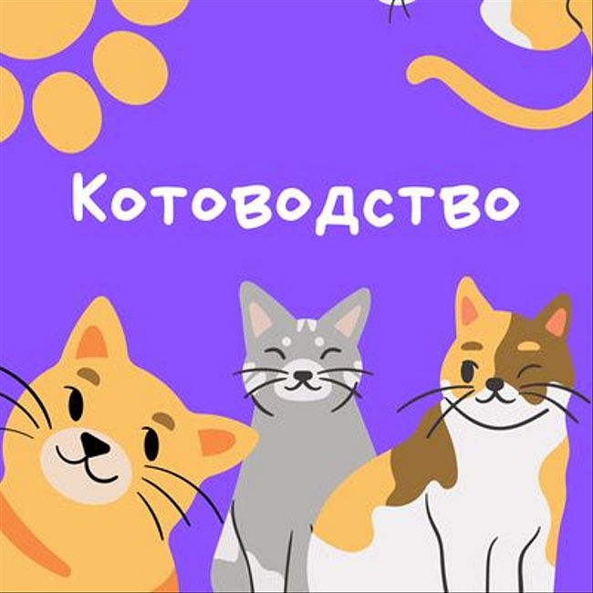 Все об уходе за кошками: с грумером Региной Переславцевой