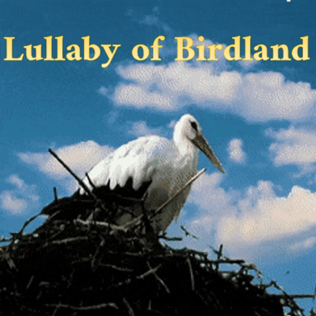 Lullaby of Birdland - о роли бифштекса в истории музыки