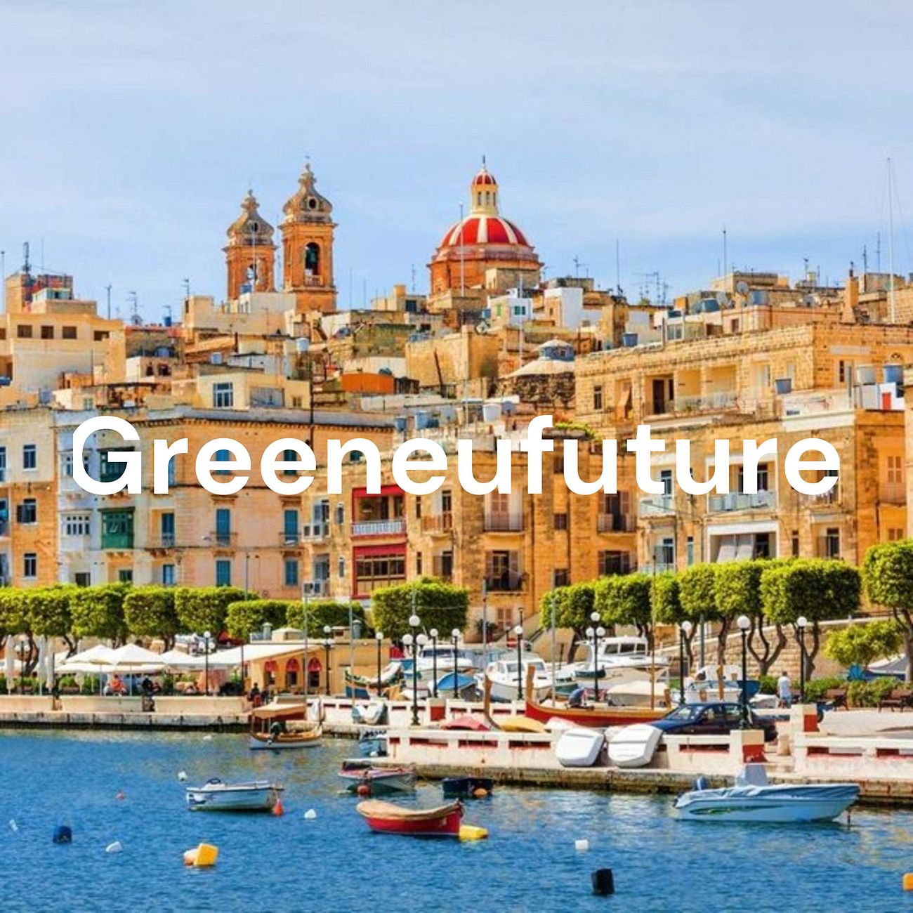 GreenEUfuture - Будущее с гражданством ЕС