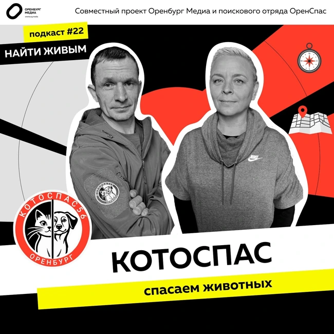 Котоспас: спасаем животных. Найти живым