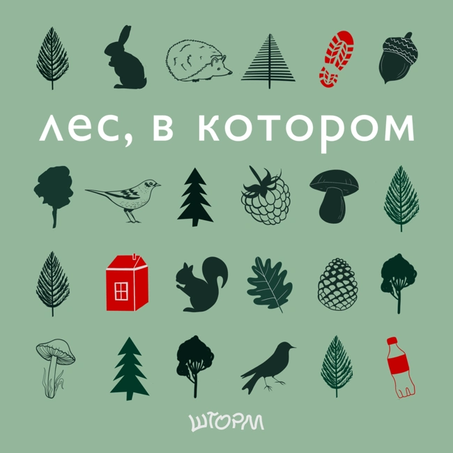 «Сегодня дрова, а завтра драйвера»: что нужно уметь, чтобы стать айтишником в национальных парках