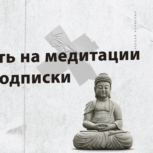 Глава 46  -   Заработать на медитации. Модель подписки