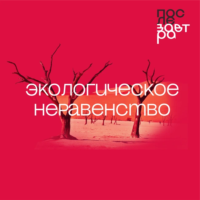 Экологическое и климатическое неравенство: кто от него страдает и что с этим делать