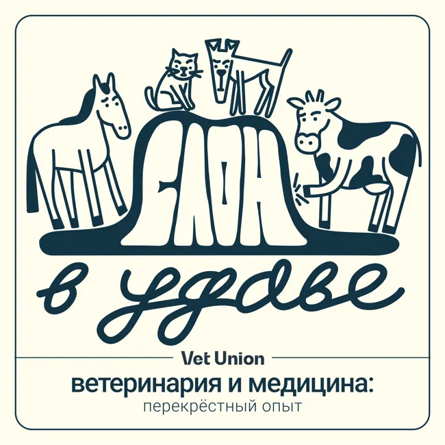 Что ветеринария может перенять у большой медицины | Юрий Леонов об опыте ИНВИТРО