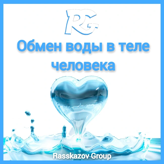 Обмен воды в теле человека