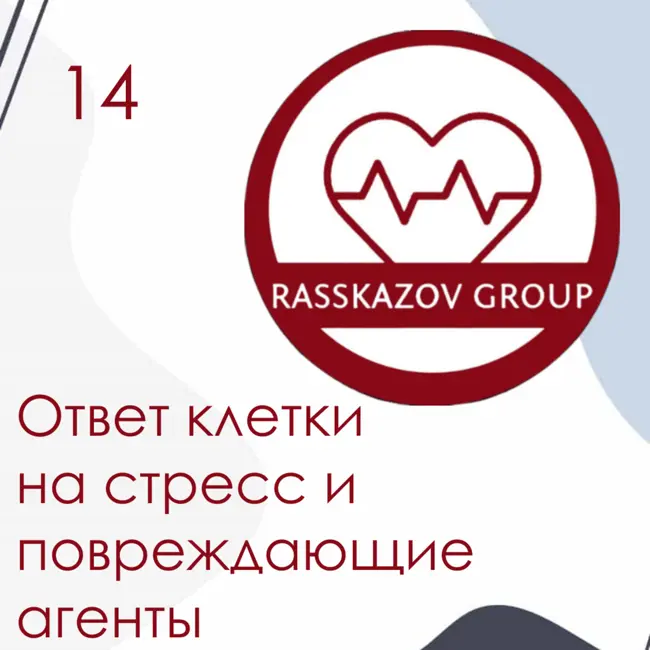 Ответ клетки на стресс и повреждающие агенты. / Rasskazov Group