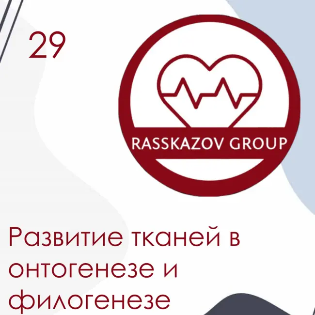 Развитие тканей в онтогенезе и филогенезе. / Rasskazov Group