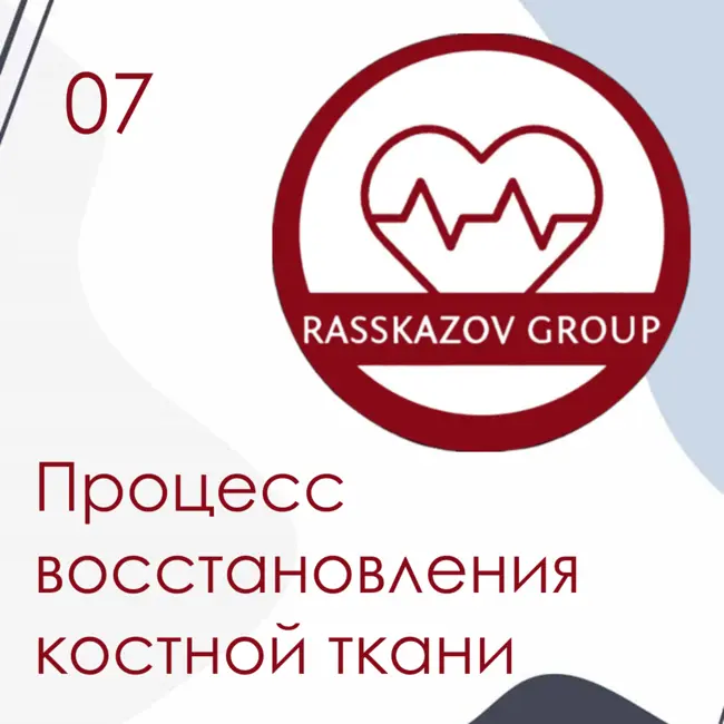 Процесс восстановления костной ткани. / Rasskazov Group