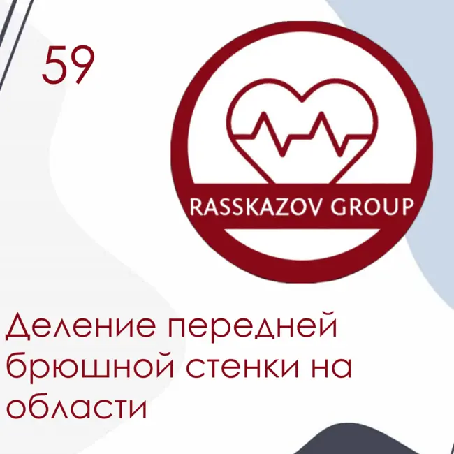Деление передней брюшной стенки на области. / Rasskazov Group