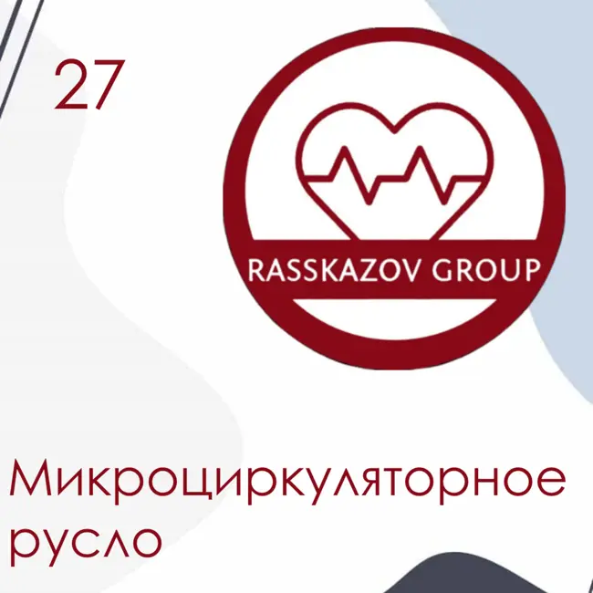 Микроциркуляторное русло. / Rasskazov Group