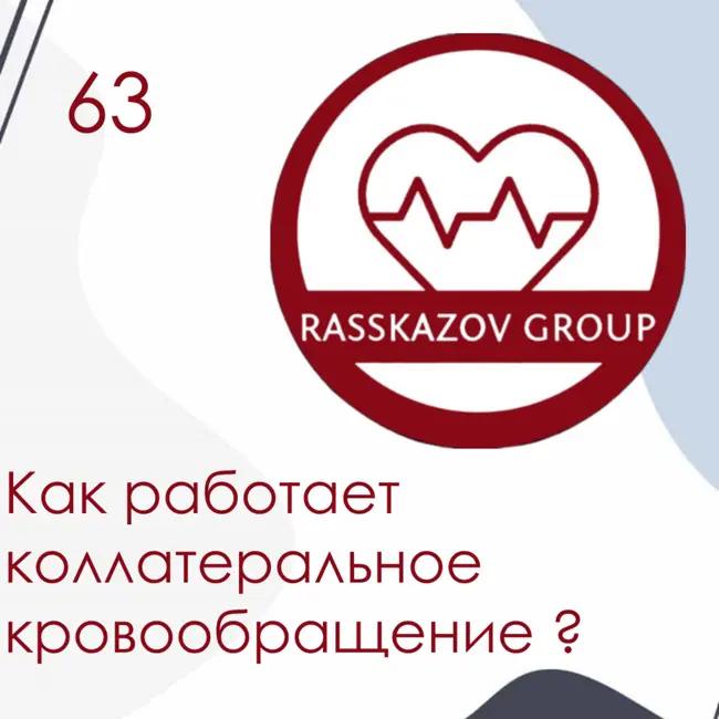 Как работает коллатеральное кровообращение? / Rasskazov Group
