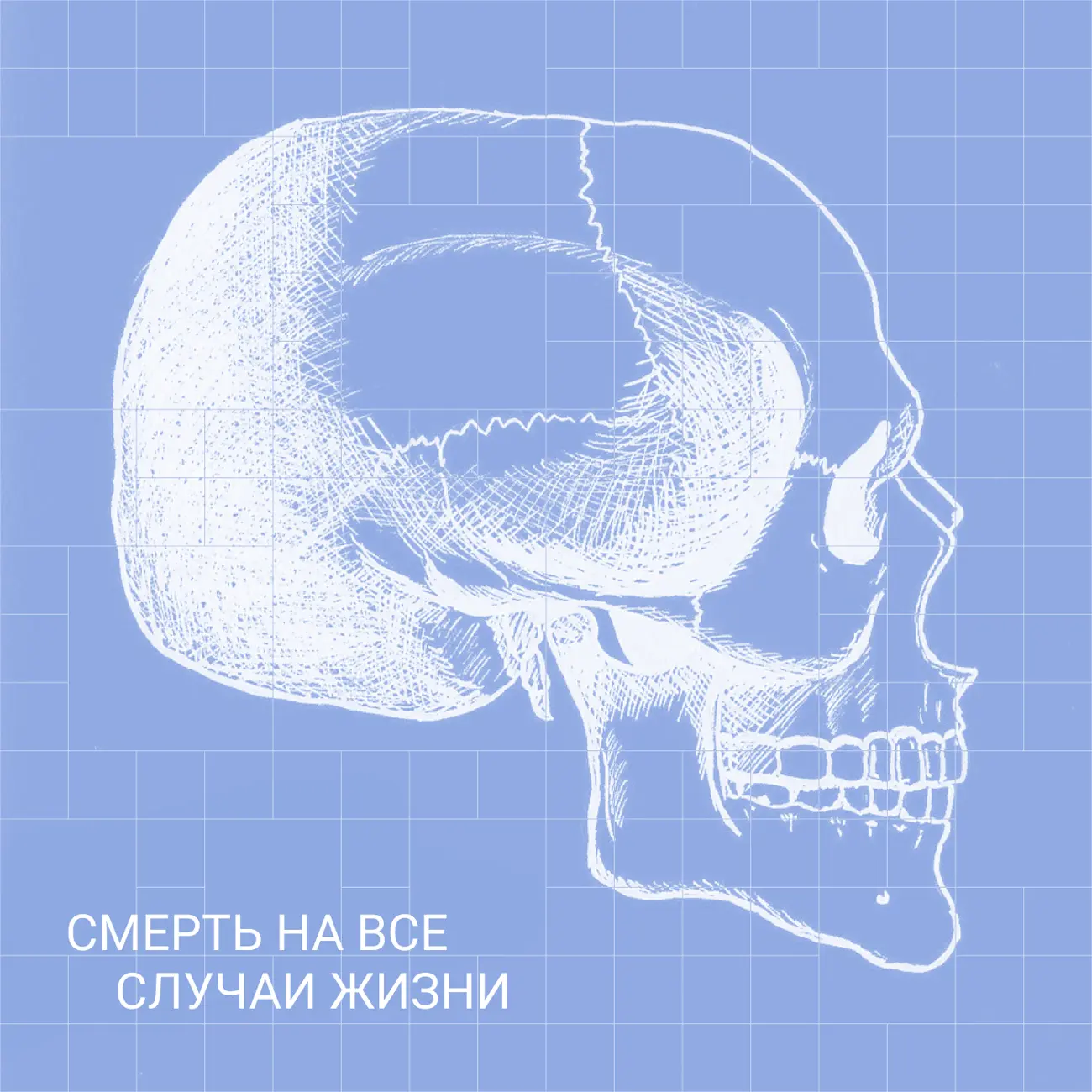 Саундстрим: Смерть на все случаи жизни - слушать плейлист с аудиоподкастами  онлайн