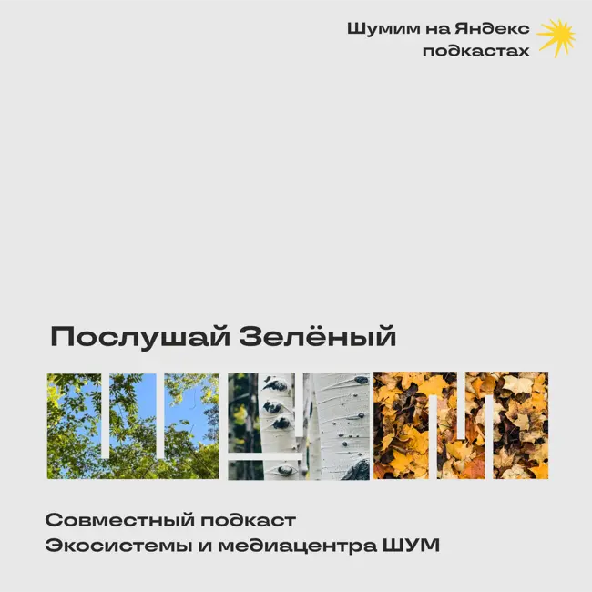 Зелёный ШУМ #01. В гостях - Сергей Николаевич Ревин, космонавт-испытатель, герой Российской Федерации.