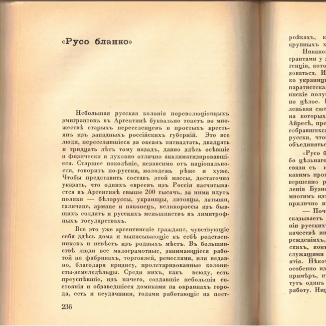 Выпуск 31. К. Парчевский - В Парагвай и Аргентину. Очерки Южной Америки. Глава 31 - Русо Бланко