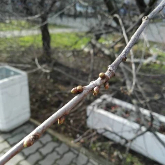 Мотивационные стихи, от которых хочется жить_Выпуск_27