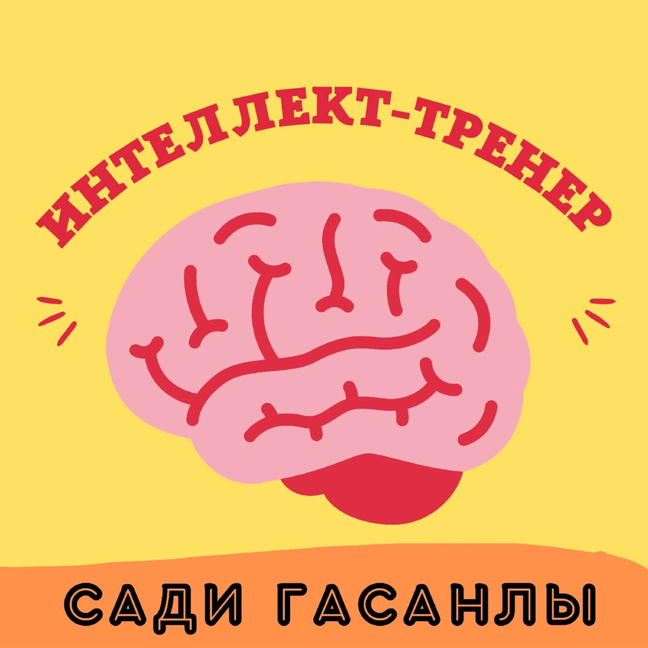 ИНТЕЛЛЕКТ-ТРЕНЕР - Сади Гасанлы