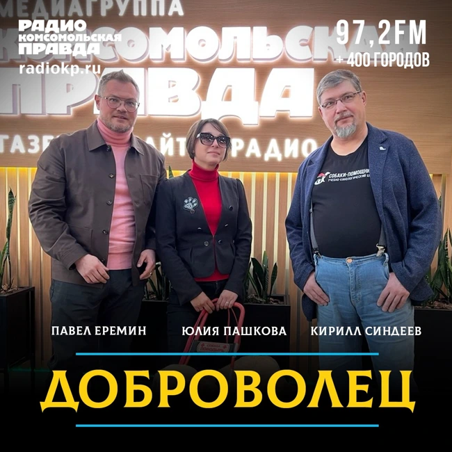 Как стать волонтером, чтобы щенков лабрадора выращивать в собаку поводыря