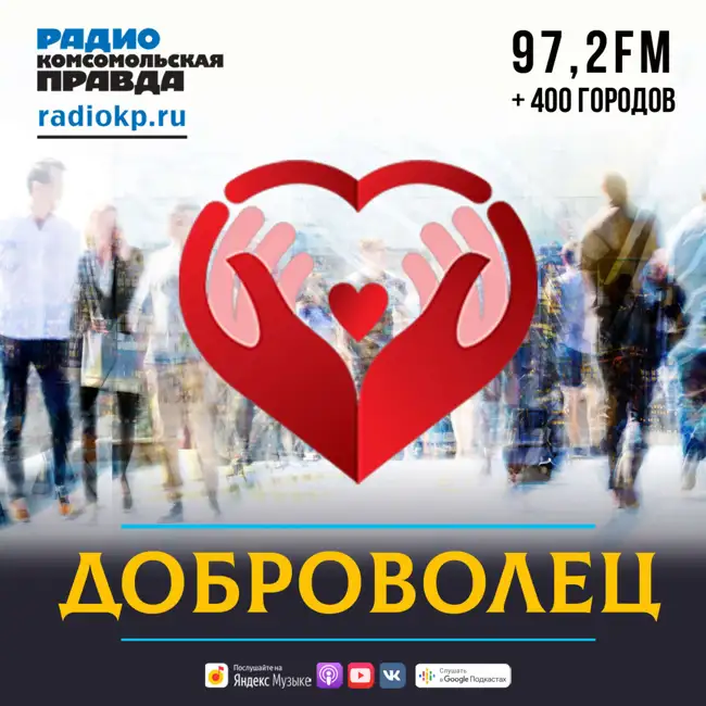 Шанс на жизнь есть и у лошадей: как помогают в самом большом приюте-конюшне