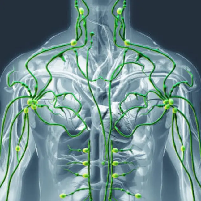 Привычка N 28. Лимфатическая гимнастика