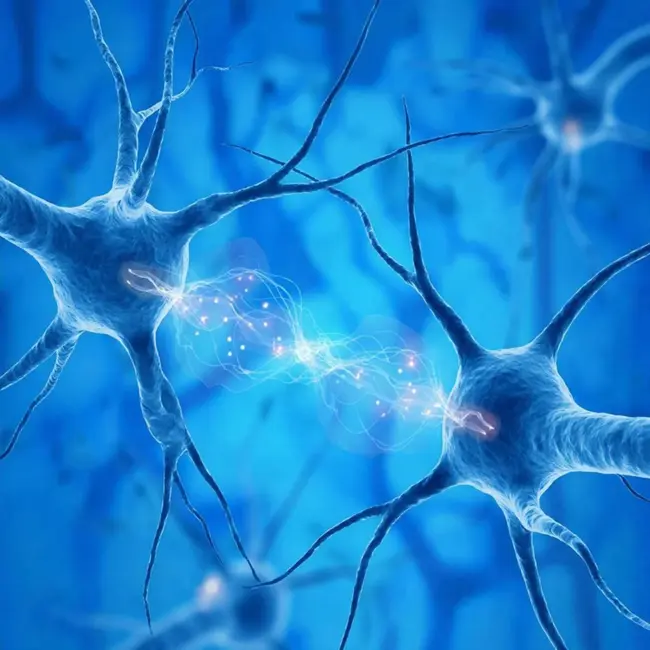 Привычка № 15. Нейропластичность мозга. Делать что бы то ни было иначе, по-другому