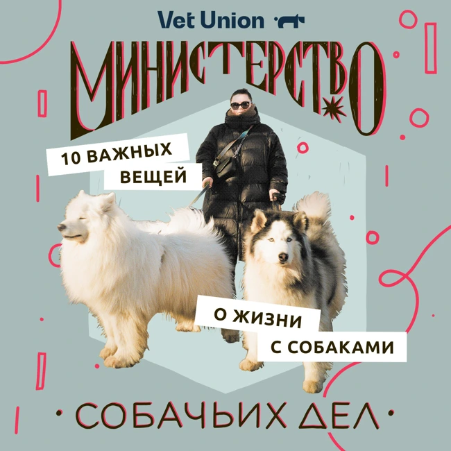 Что я поняла за три с половиной года жизни с собаками: честный и личный выпуск