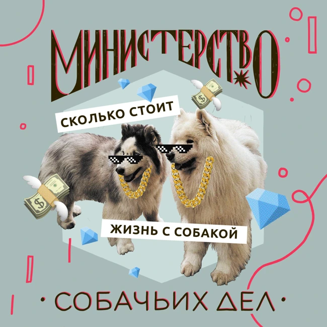 Сколько стоит собака: еда, уход, советы и собачий счет