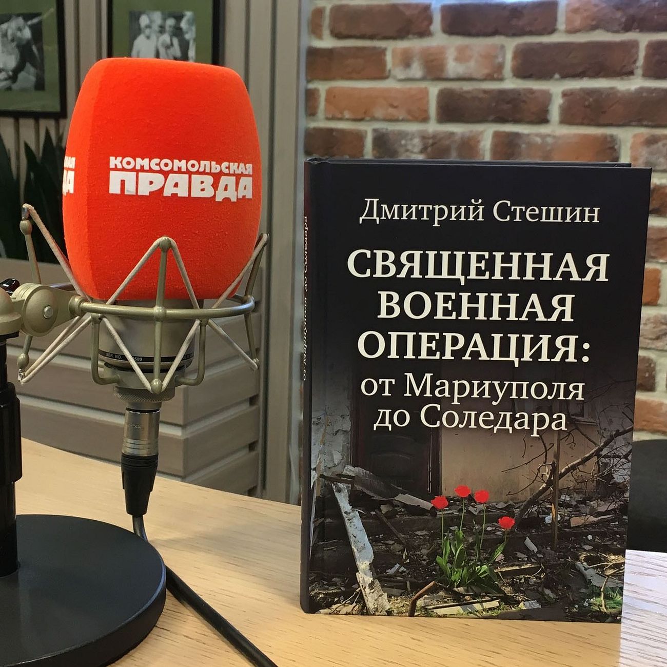 Аудиокнига Дмитрия Стешина «Священная Военная Операция: от Мариуполя до Соледара»