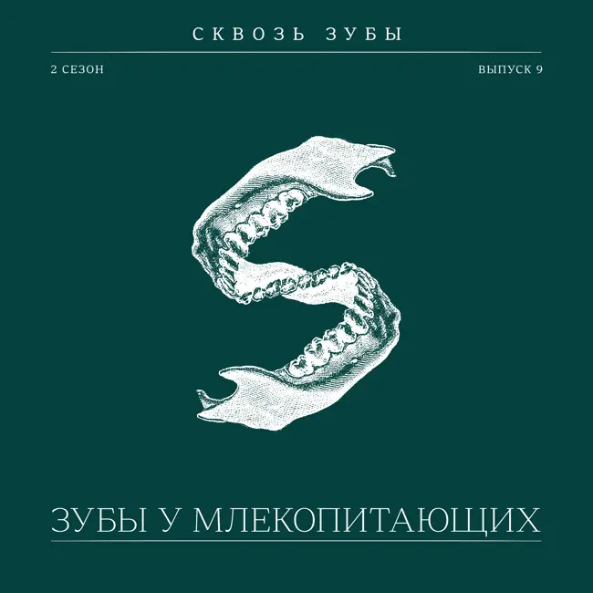 Эпизод 9. Зубы у млекопитающих