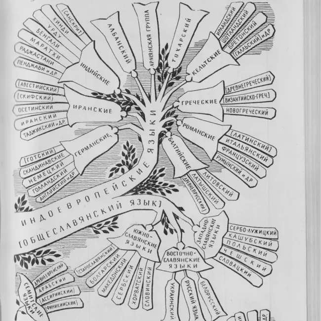 Русский язык: прошлое, настоящее и будущее