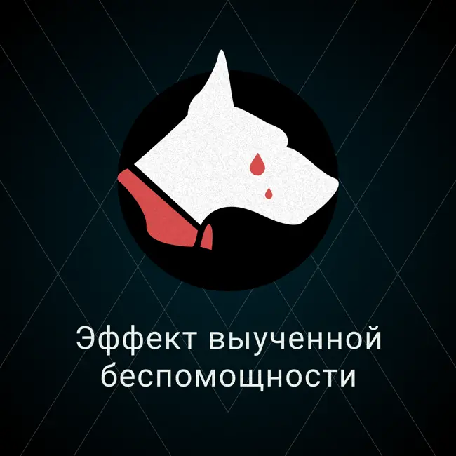 Эффект выученной беспомощности