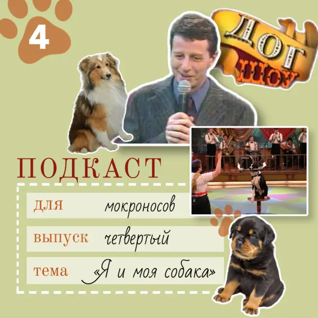"Я и моя собака": о любви к собакам