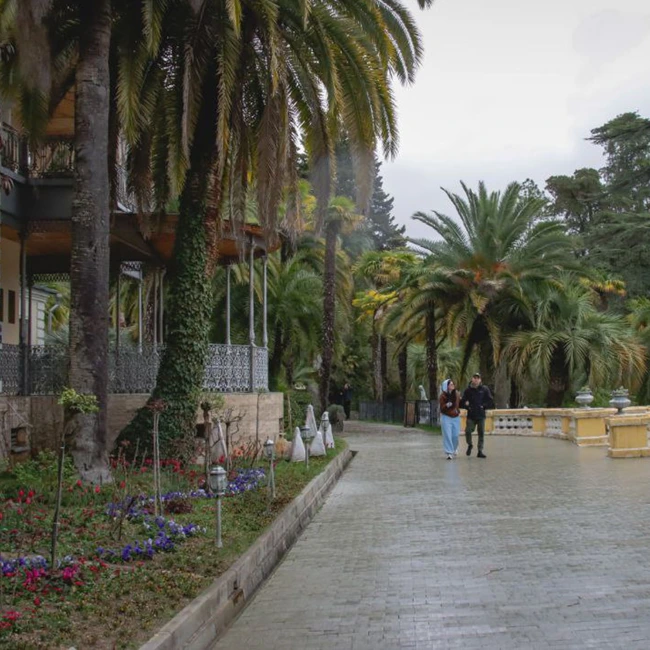 Сочи — город, в котором солнце не знает отпуска