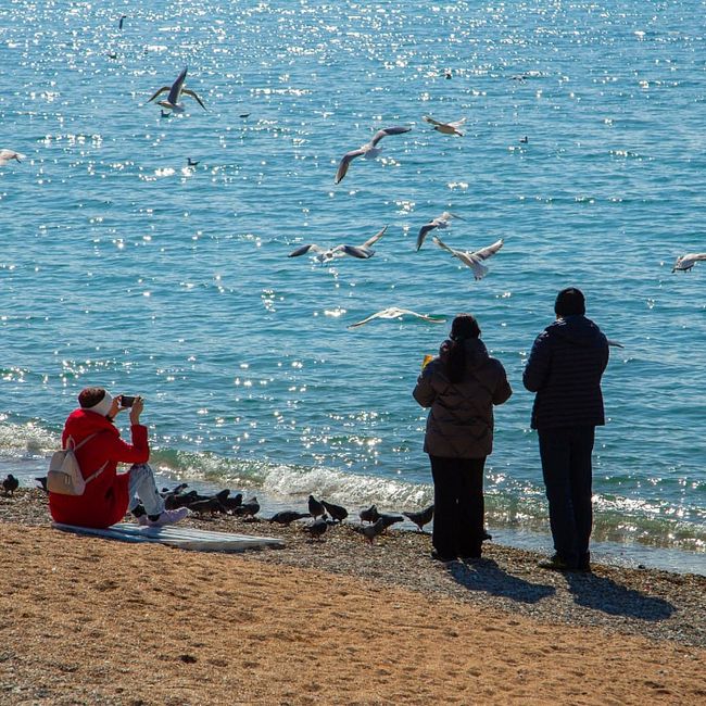 Альтернатива пляжу: где еще нестандартно отдохнуть в Краснодарском крае