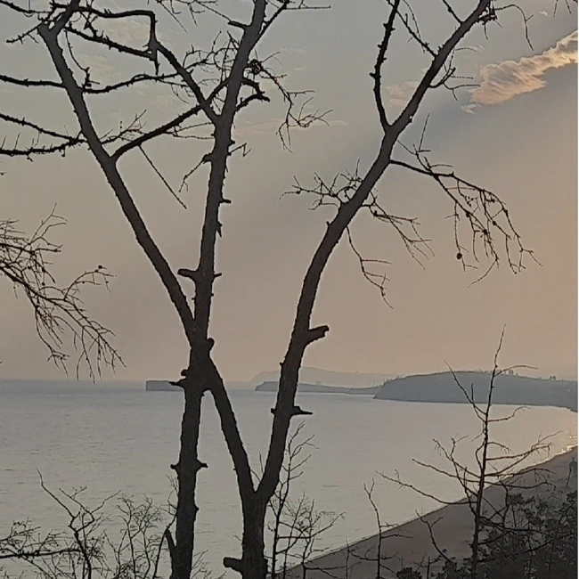 Танец бубна. Бонус выпуск. Ритмы шаманского бубна для медитации, транса, отдыха