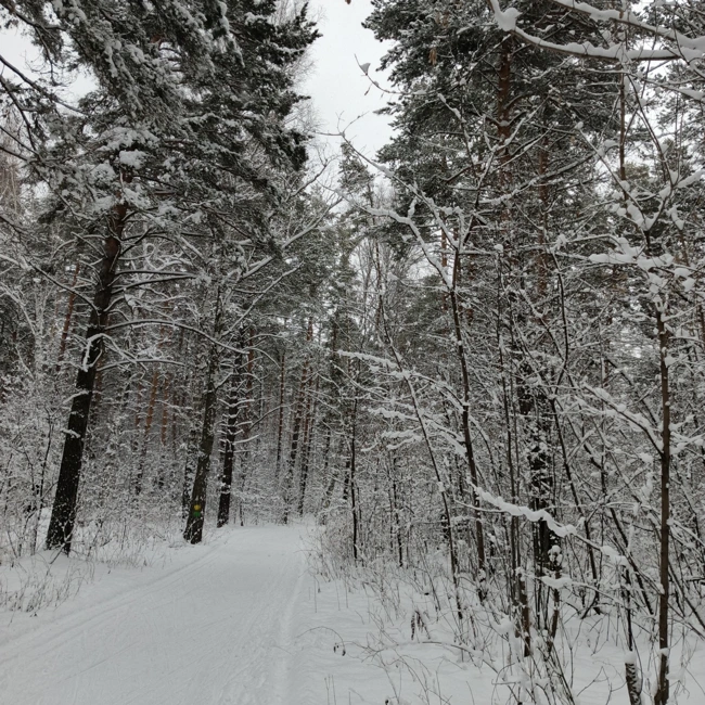 Белый танец зимы