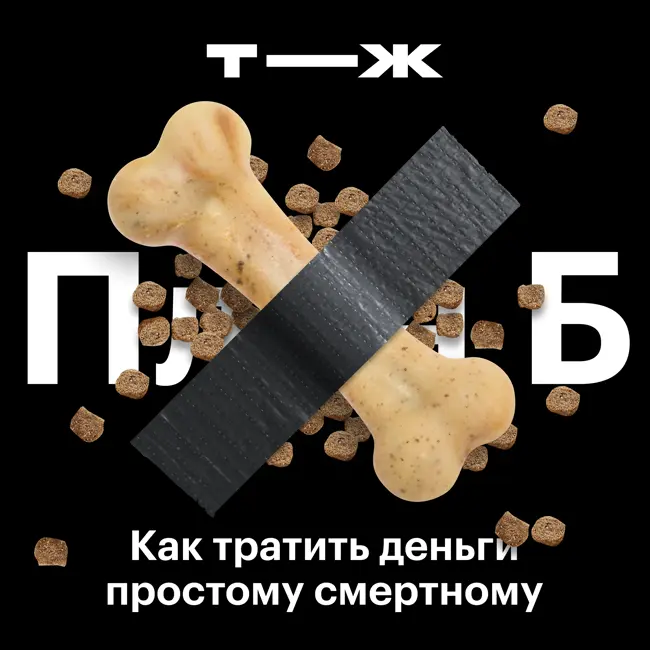 Сколько стоит содержать домашних животных? Разбираем самую милую категорию трат 🥺