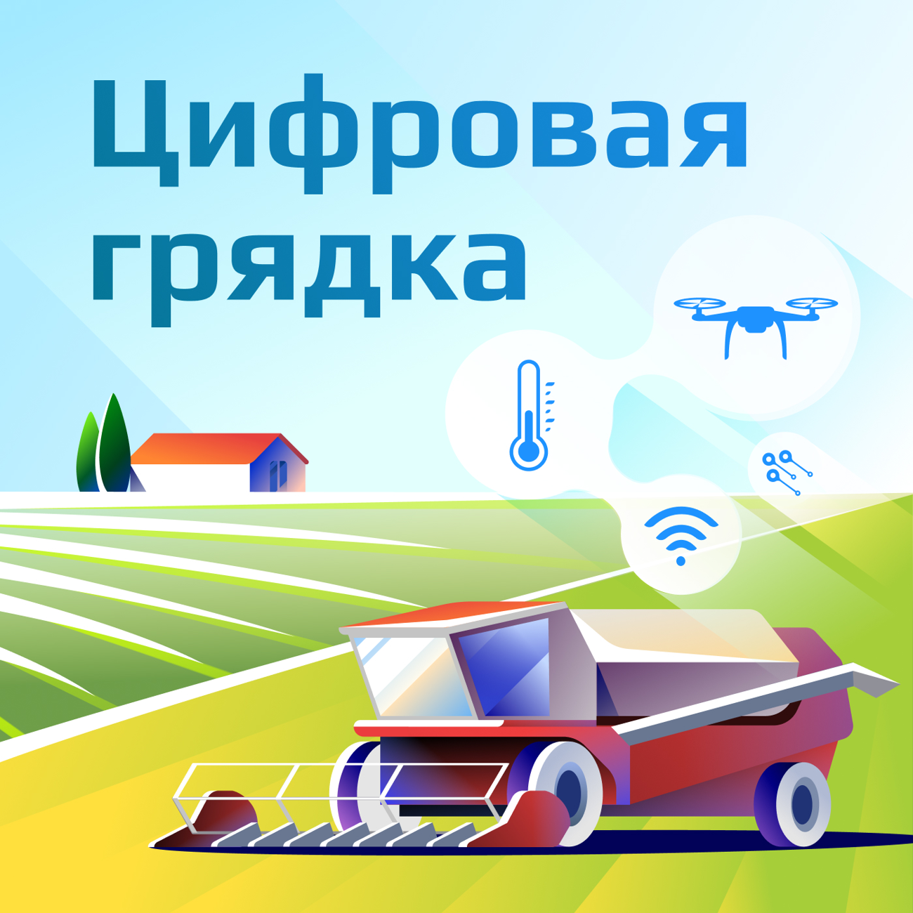 Цифровая грядка