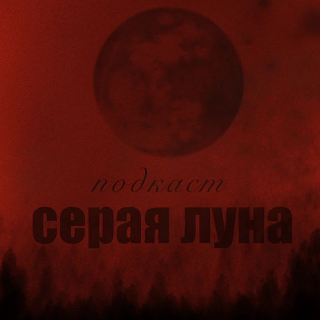 "Умный что-ли?" Почему скромность не украшает. Качество зумеров, которое стоит в себе развить.