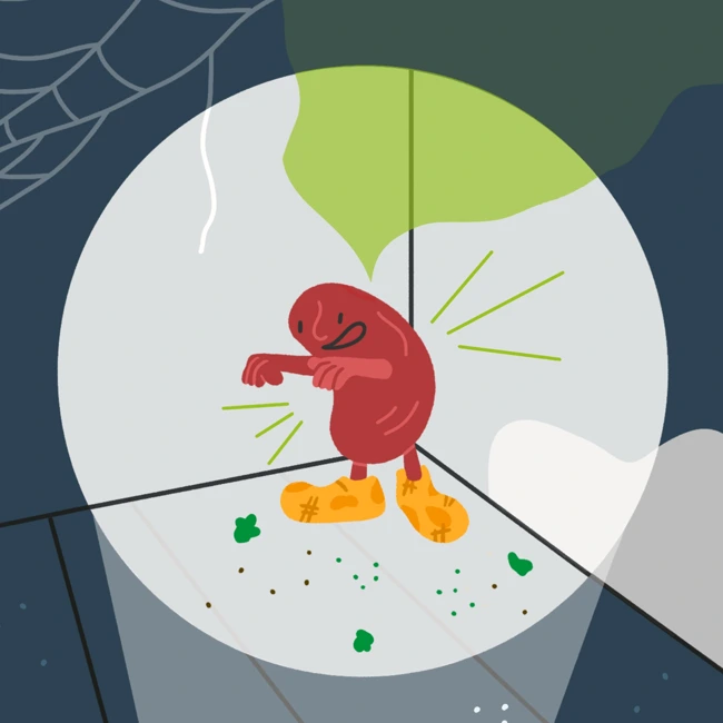 Загадочное происшествие перед праздником