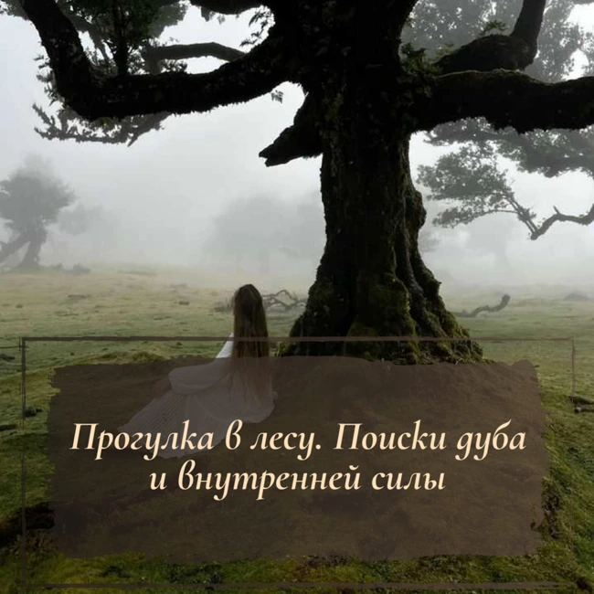 Прогулка в лесу. Поиски дуба и внутренней силы