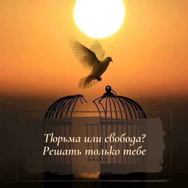 Тюрьма или свобода? Решать только тебе