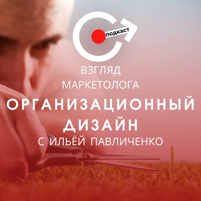 Организационный дизайн для создания гибких и адаптивных организаций. Гость — Илья Павличенко. Взгляд маркетолога. Подкаст 3-8