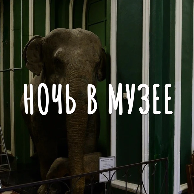 Ночь в Музее