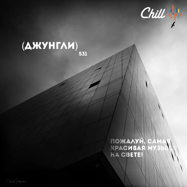 Джунгли. CHILL от 18.09.25.