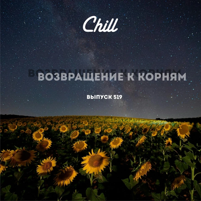 Возвращение к корням. Особый выпуск. CHILL от 06.06.25.