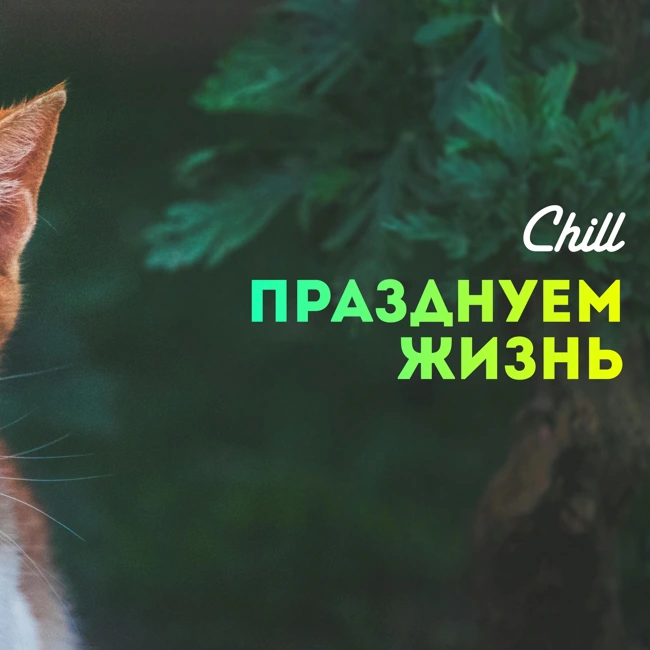 Празднуем жизнь. CHILL от 30.01.25.