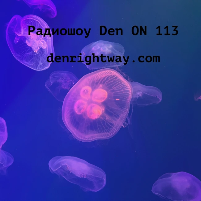 Радиошоу Den ON 113