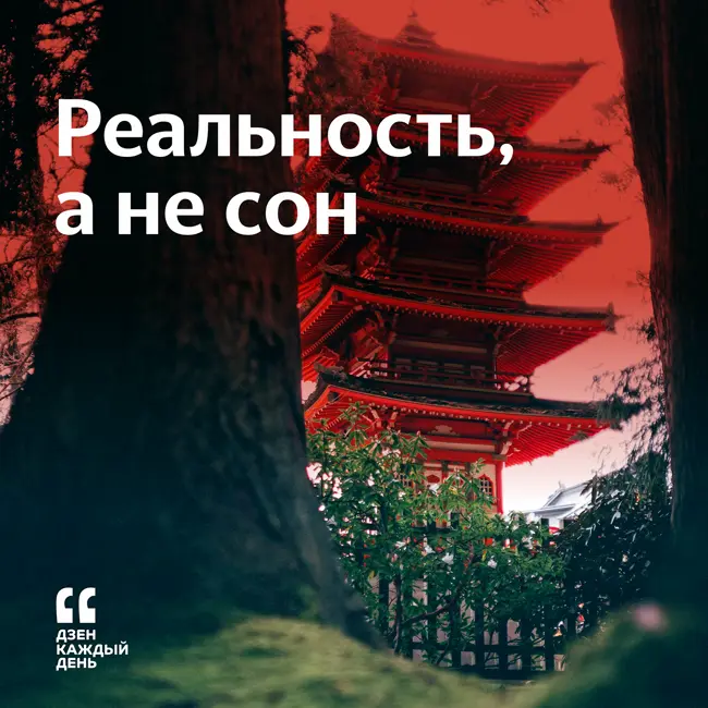 Реальность, а не сон
